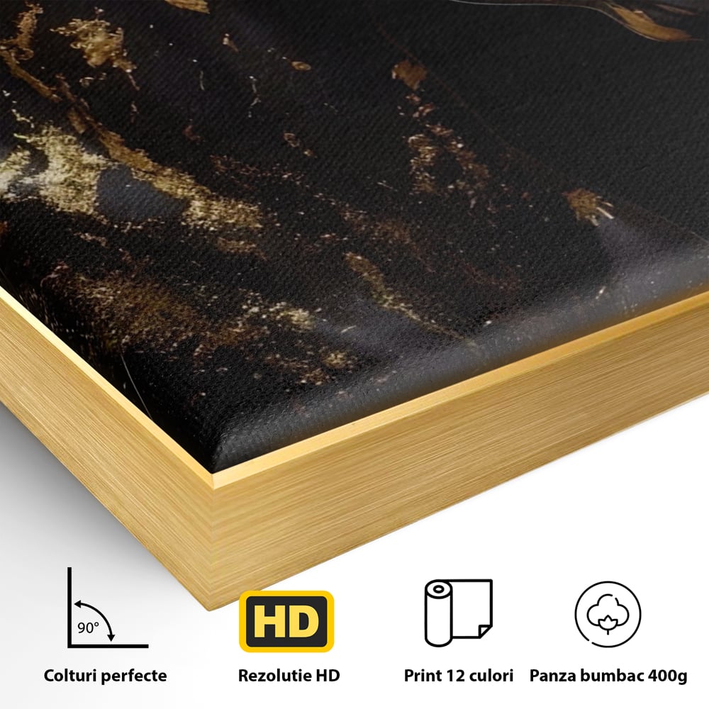 Detaliu al suprafetei: tablou canvas cu un cal negru, in rama de aluminiu auriu