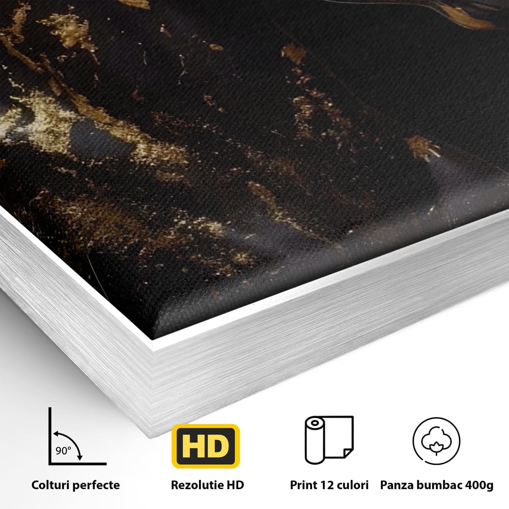 Detaliu al suprafetei: tablou canvas cu un cal negru, in rama de aluminiu argintiu