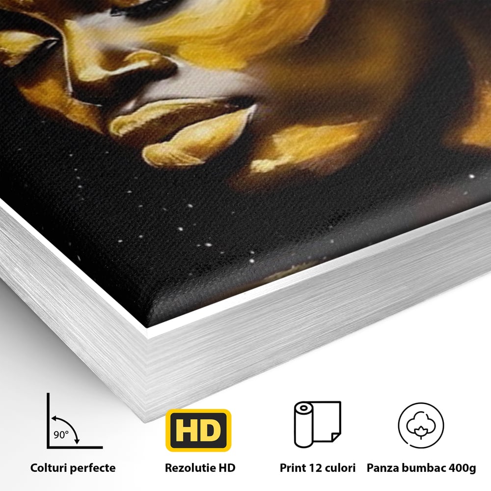 Detaliu al suprafetei: tablou canvas portret femeie auriu, in rama de aluminiu argintiu