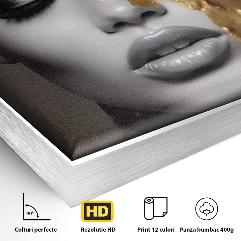 Detaliu al suprafetei: tablou canvas cu portret de femeie si fluturi aurii, in rama de aluminiu argintiu