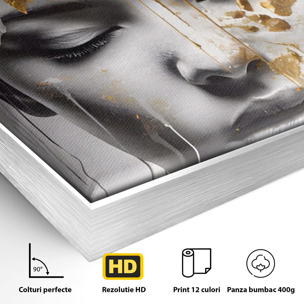 Detaliu al suprafetei: tablou canvas cu chip de femeie si flori, in rama de aluminiu argintiu