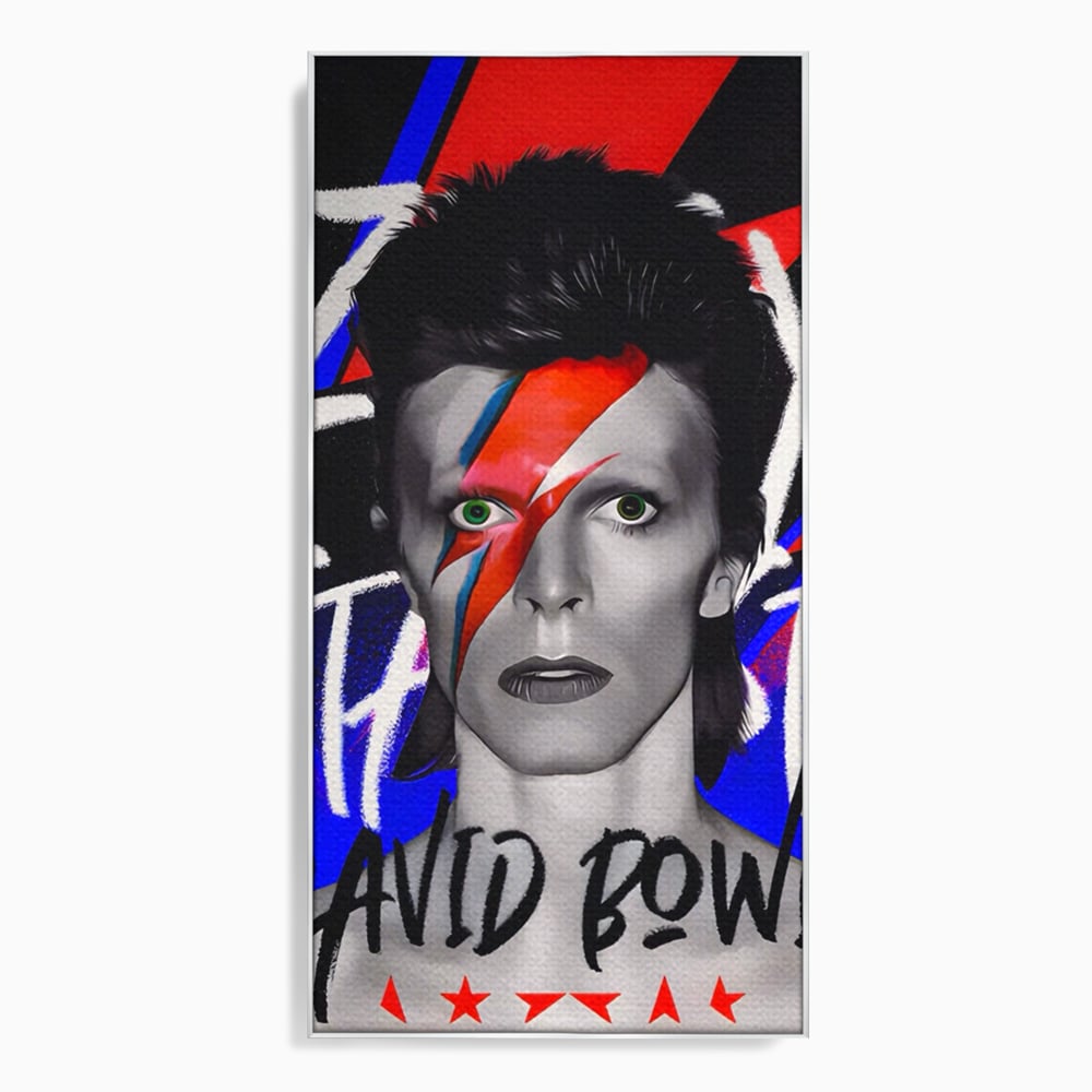 Tablou canvas cu tablou canvas cu portretul lui david bowie, in rama de aluminiu argintiu