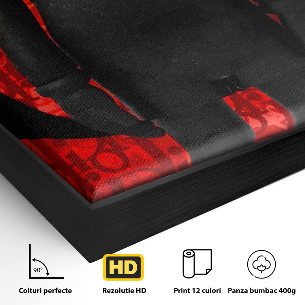 Detaliu al suprafetei: tablou canvas cu robot negru supreme, in rama de aluminiu negru