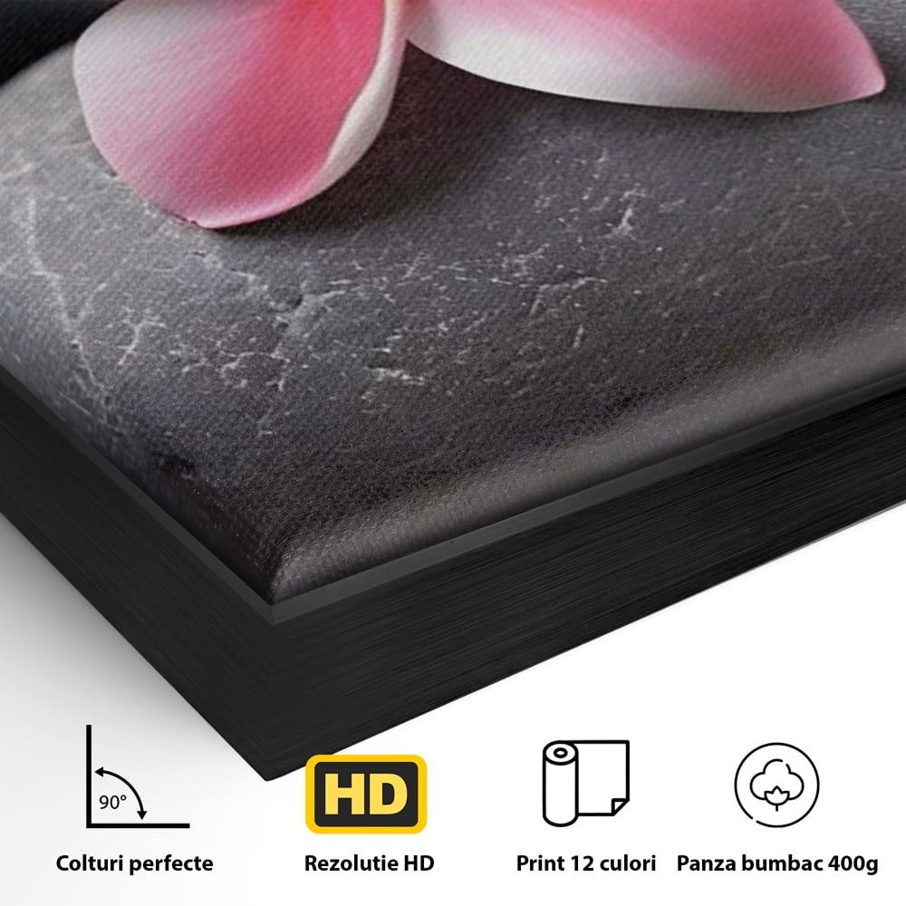Detaliu al suprafetei: floare roz pe pietre gri, in rama de aluminiu negru