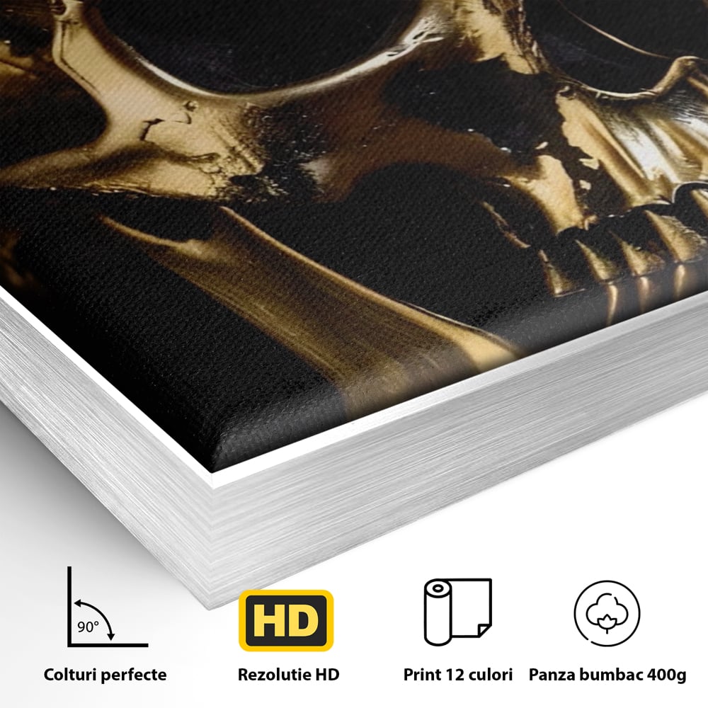 Detaliu al suprafetei: tablou canvas cu craniu auriu, in rama de aluminiu argintiu