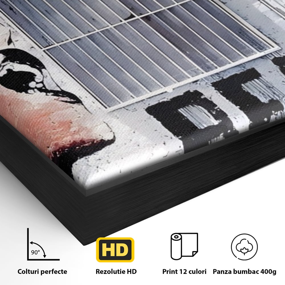 Detaliu al suprafetei: tablou canvas cu femeie si graffiti, in rama de aluminiu negru