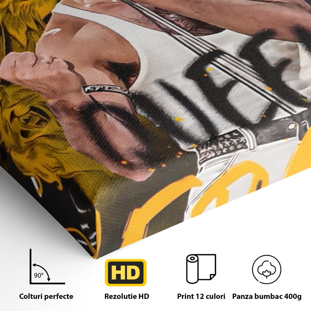 Detaliu al suprafetei: tablou canvas cu freddie mercury, fara rama, pe sasiu de lemn
