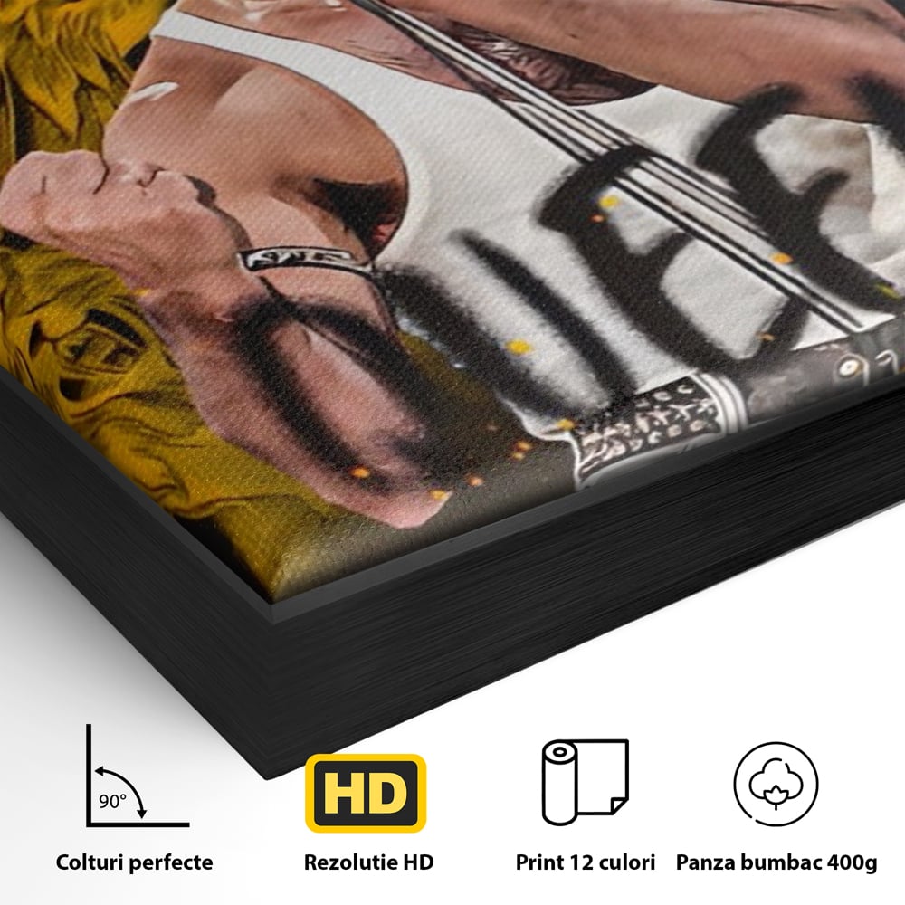 Detaliu al suprafetei: tablou canvas cu freddie mercury, in rama de aluminiu negru