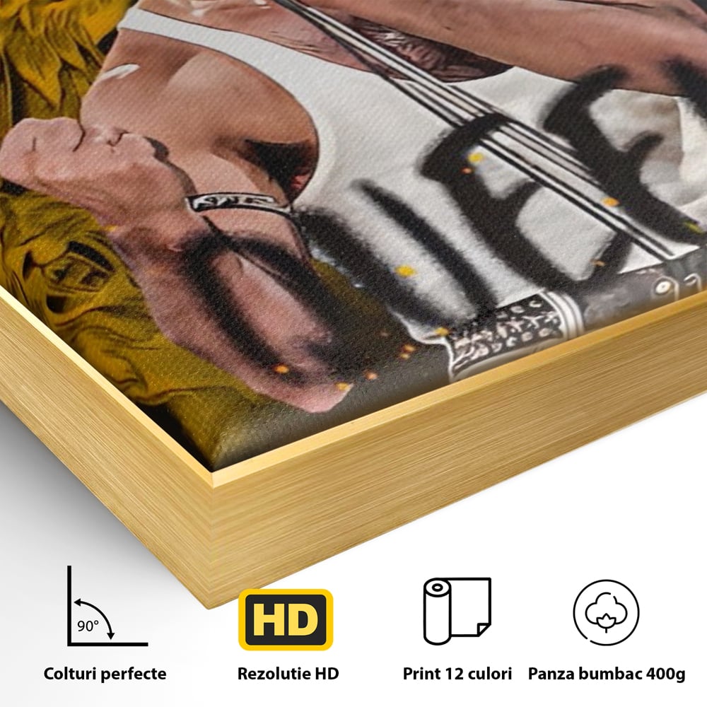 Detaliu al suprafetei: tablou canvas cu freddie mercury, in rama de aluminiu auriu