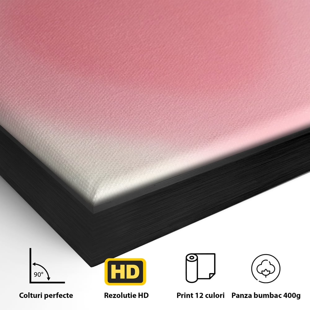 Detaliu al suprafetei: tablou canvas cu inima roz, in rama de aluminiu negru