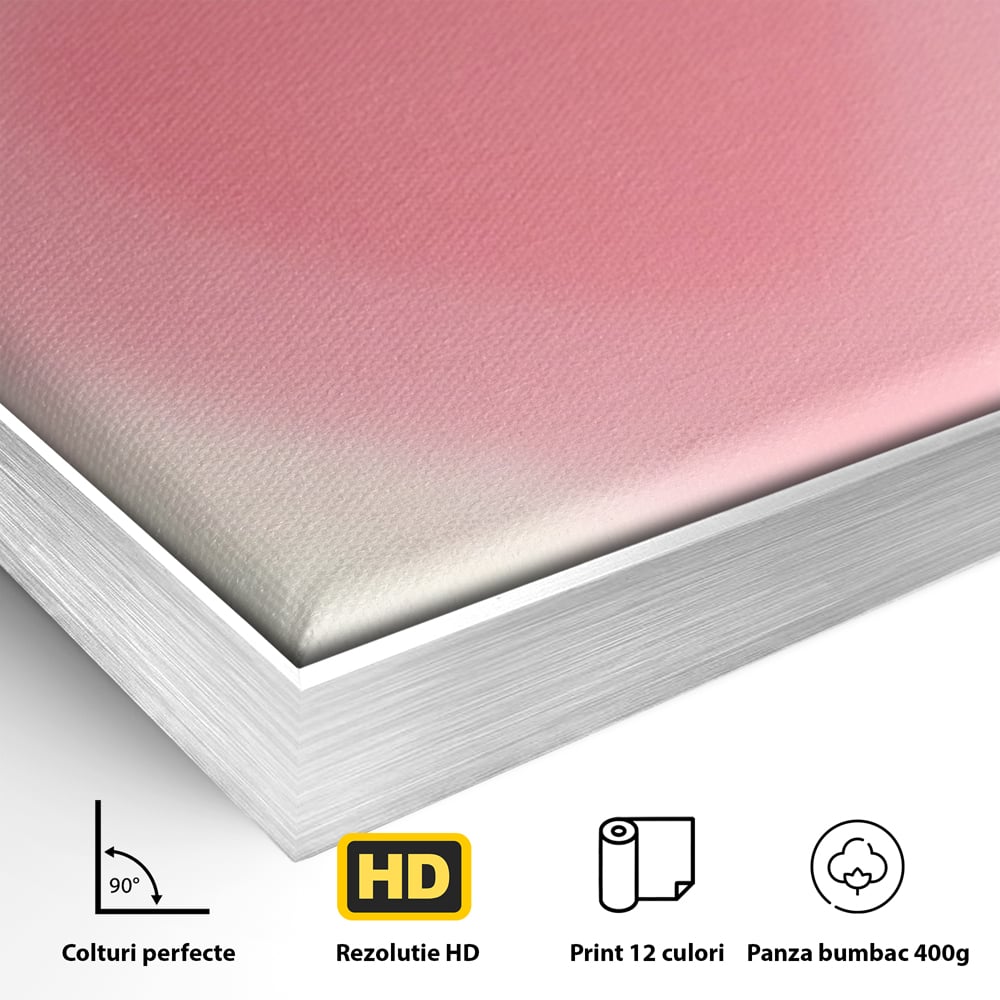 Detaliu al suprafetei: tablou canvas cu inima roz, in rama de aluminiu argintiu