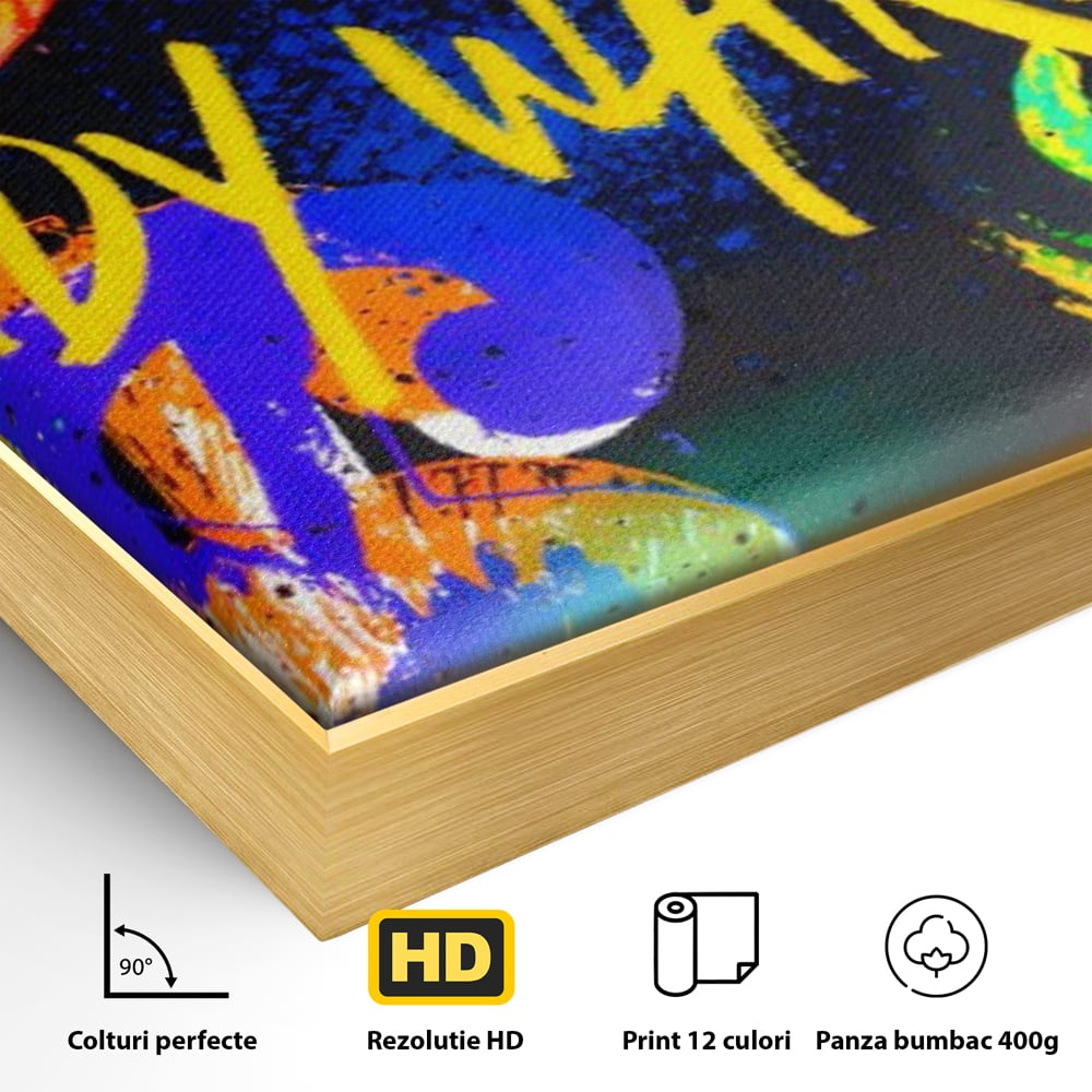 Detaliu al suprafetei: tablou canvas cu simboluri dollar colorate, in rama de aluminiu auriu
