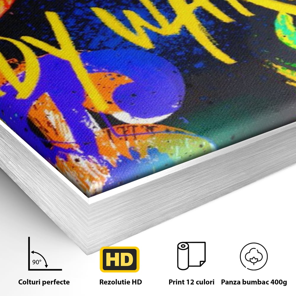 Detaliu al suprafetei: tablou canvas cu simboluri dollar colorate, in rama de aluminiu argintiu