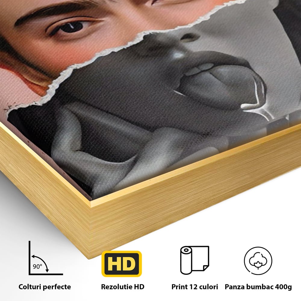Detaliu al suprafetei: tablou canvas cu portret collage, in rama de aluminiu auriu
