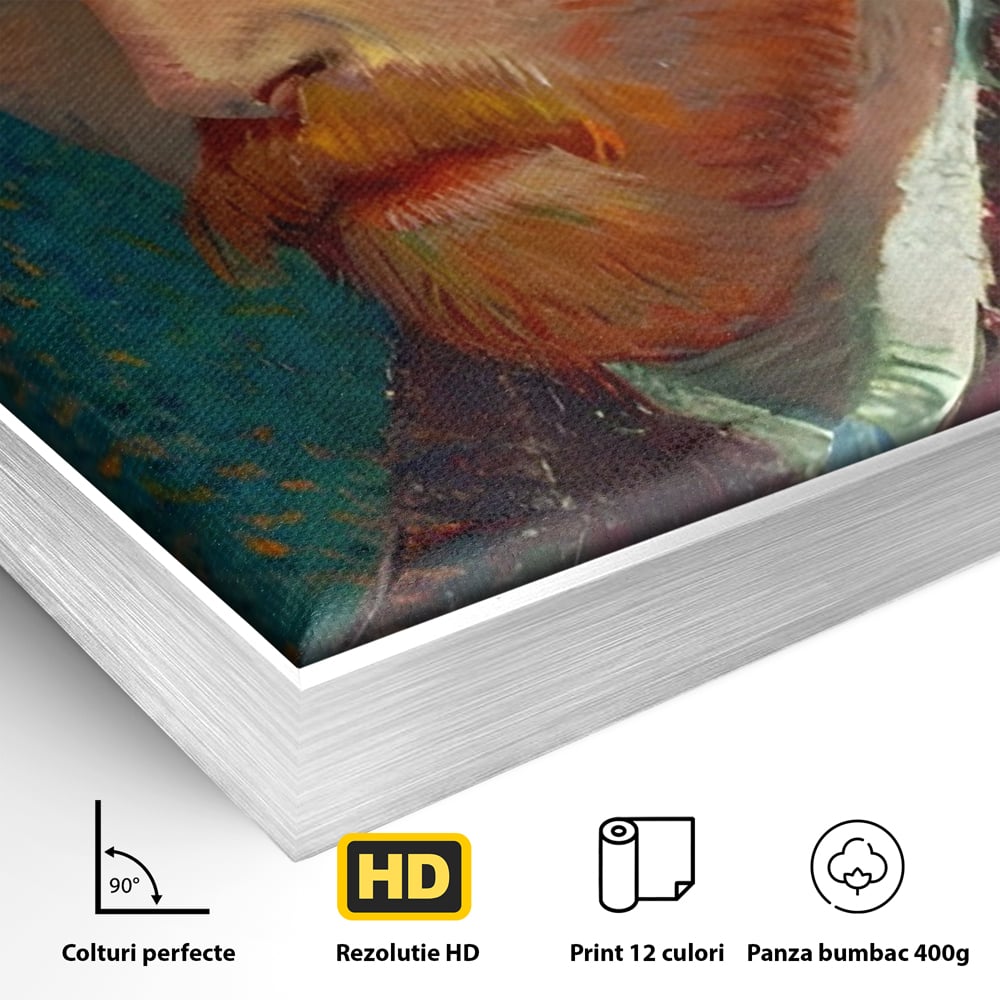 Detaliu al suprafetei: autoportret vincent van gogh, in rama de aluminiu argintiu