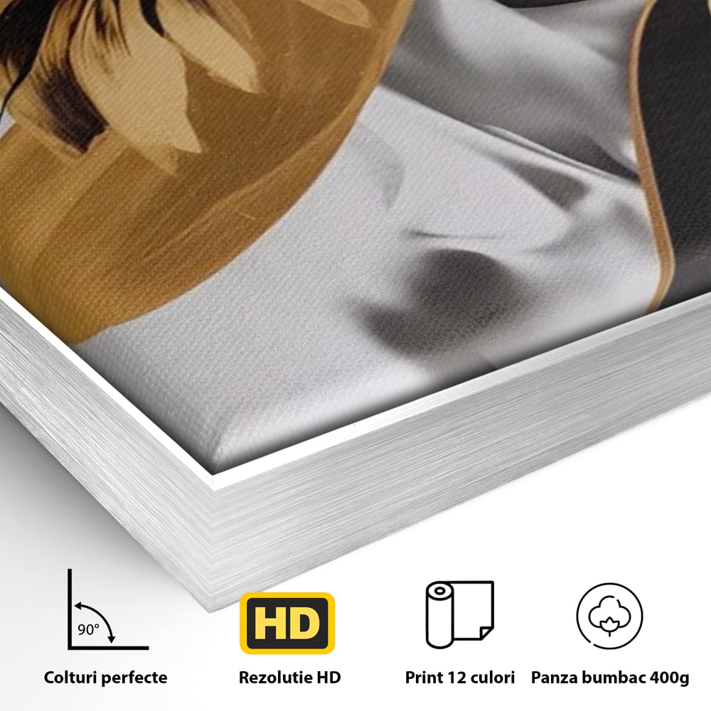 Detaliu al suprafetei: tablou canvas cu portret de femeie si floarea-soarelui, in rama de aluminiu argintiu