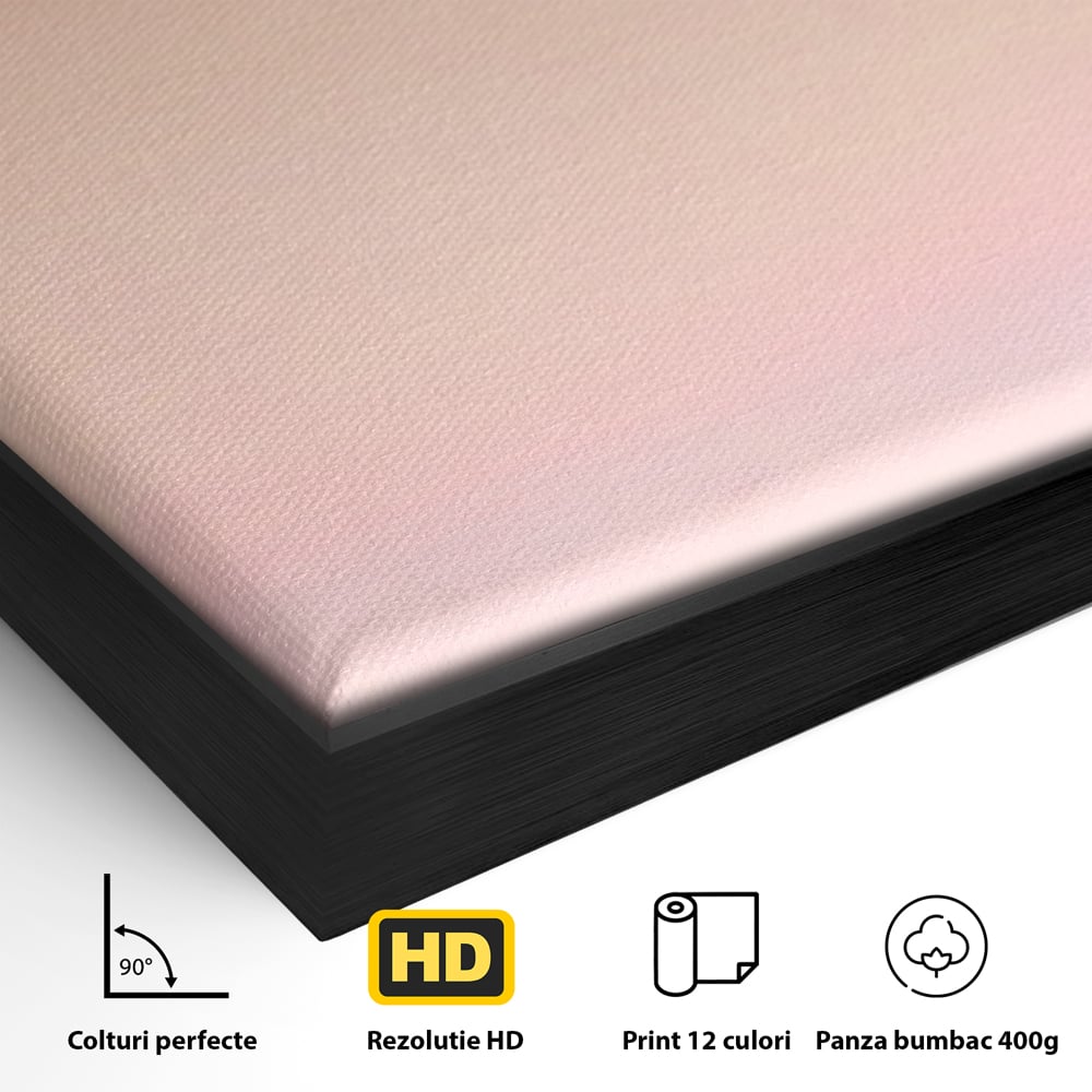 Detaliu al suprafetei: tablou canvas cu barca cu vele pe apa, in rama de aluminiu negru