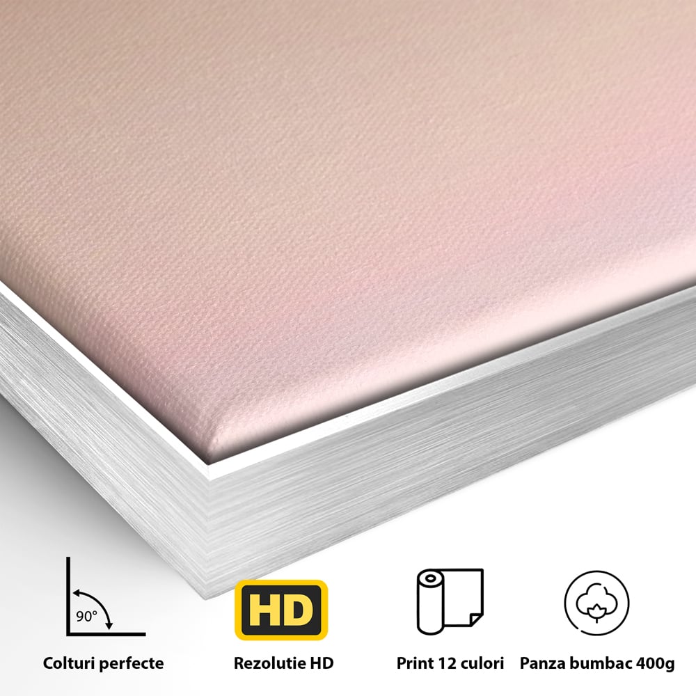 Detaliu al suprafetei: tablou canvas cu barca cu vele pe apa, in rama de aluminiu argintiu