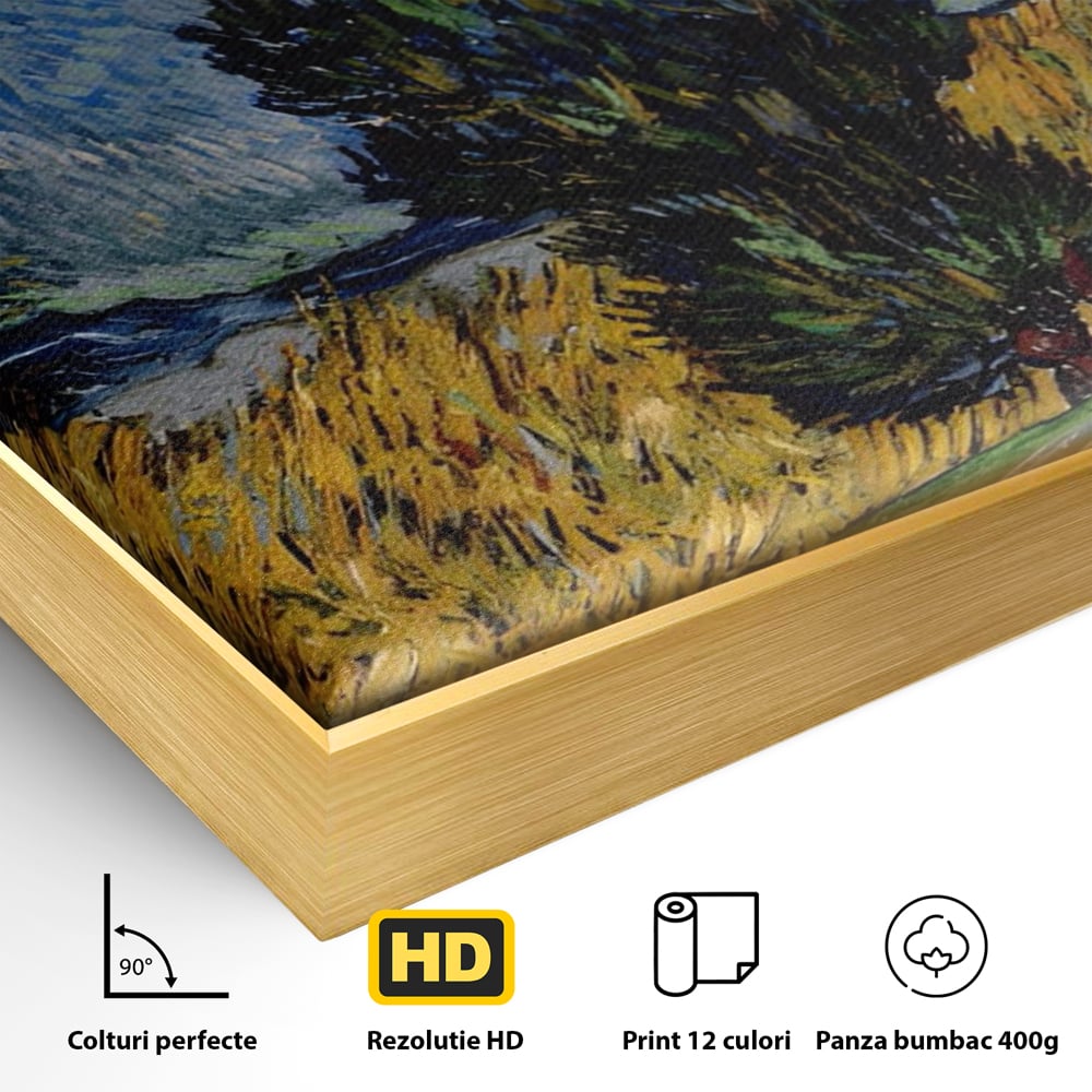 Detaliu al suprafetei: reproducere pictura van gogh, in rama de aluminiu auriu