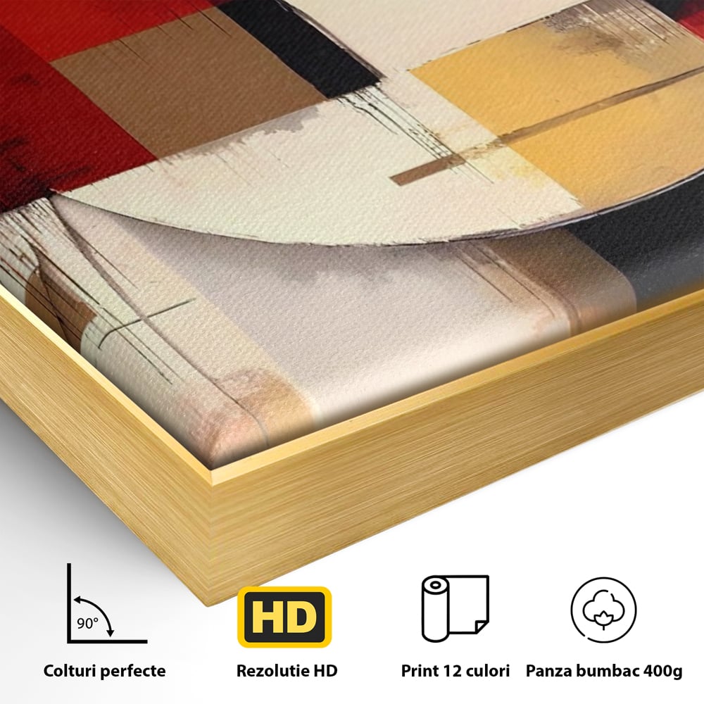 Detaliu al suprafetei: pictura abstracta cu forme geometrice, in rama de aluminiu auriu
