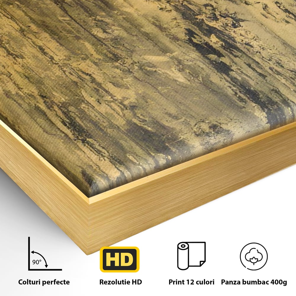 Detaliu al suprafetei: pictura abstracta cu texturi aurii, in rama de aluminiu auriu