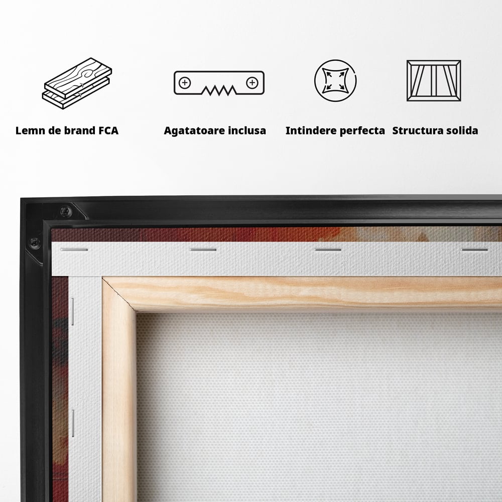 Spatele produsului, cu sasiu din lemn, capse metalice si agatatoare