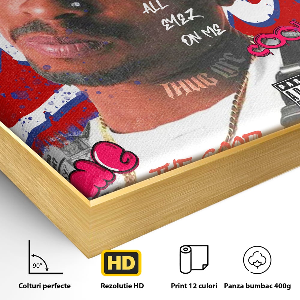 Detaliu al suprafetei: tablou canvas cu portret tupac shakur, in rama de aluminiu auriu