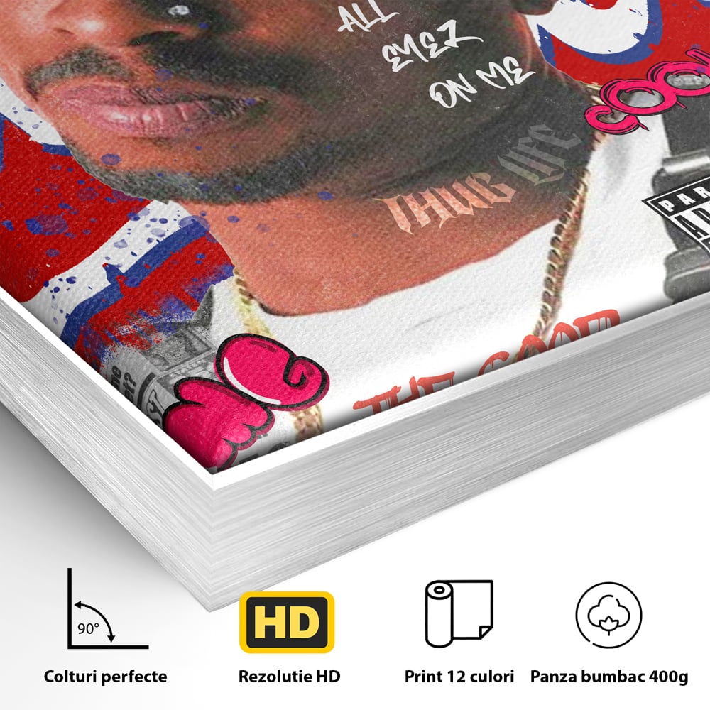 Detaliu al suprafetei: tablou canvas cu portret tupac shakur, in rama de aluminiu argintiu