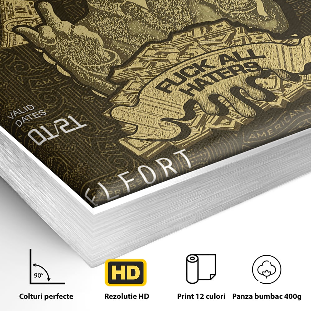 Detaliu al suprafetei: tablou canvas cu card american express stilizat, in rama de aluminiu argintiu