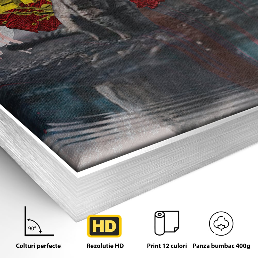 Detaliu al suprafetei: tablou canvas motivatie cu pisica si leu, in rama de aluminiu argintiu