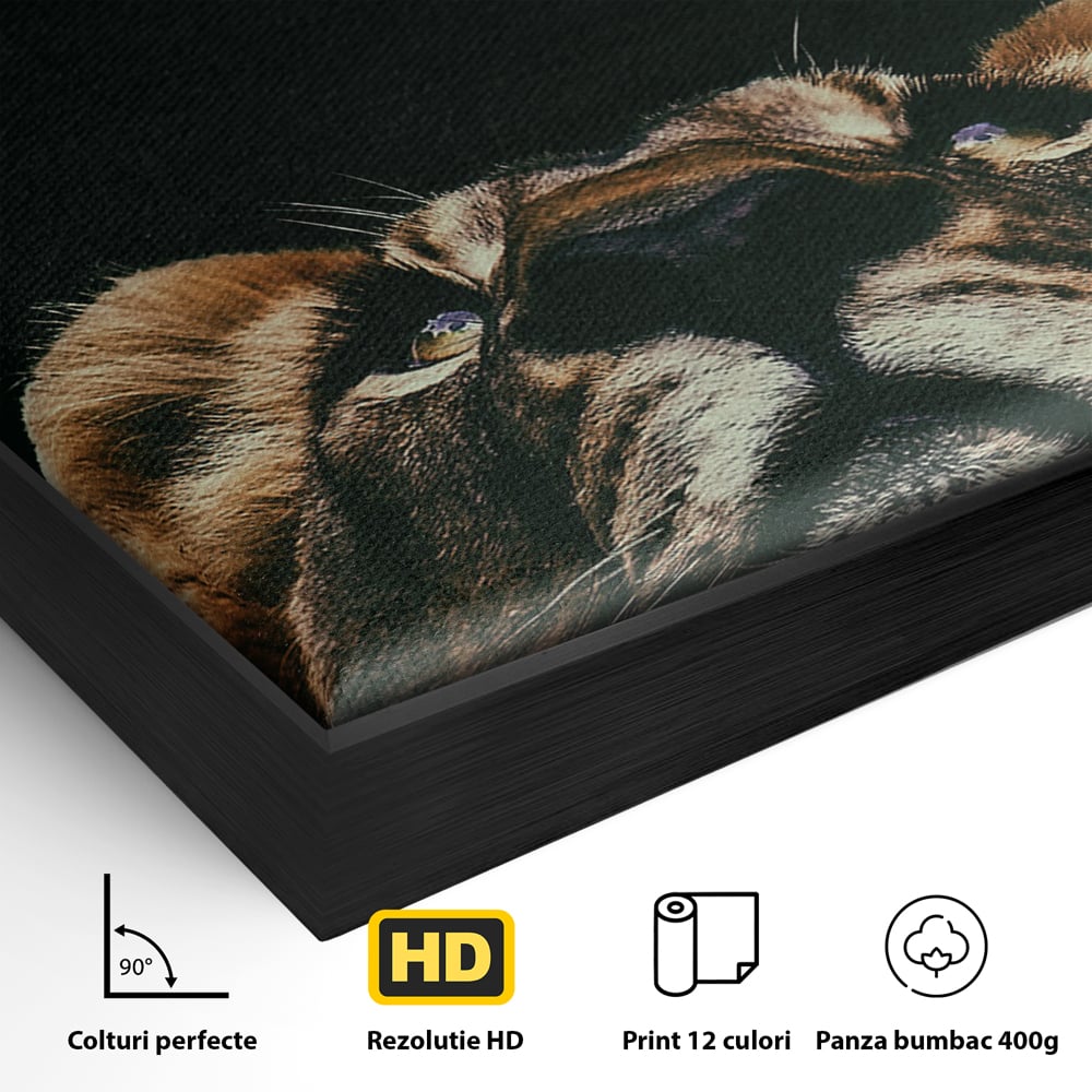 Detaliu al suprafetei: tablou canvas cu leu si mesaj motivational, in rama de aluminiu negru