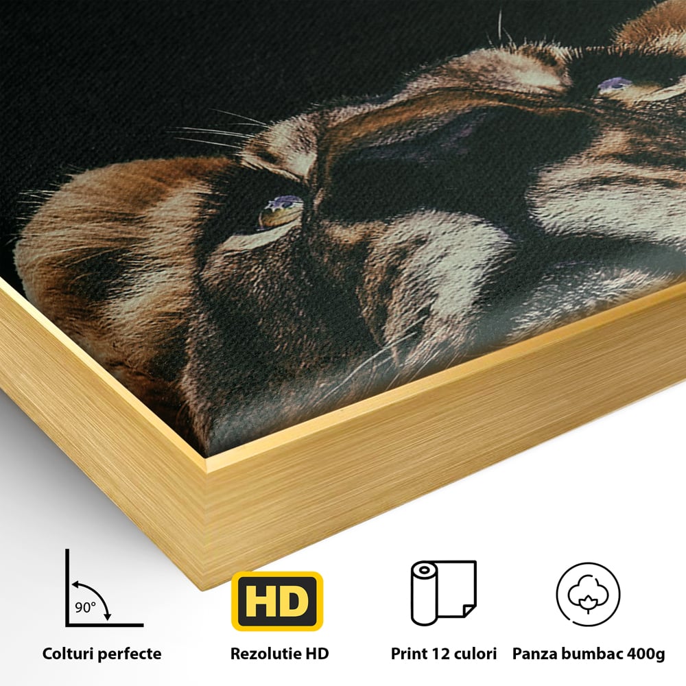 Detaliu al suprafetei: tablou canvas cu leu si mesaj motivational, in rama de aluminiu auriu