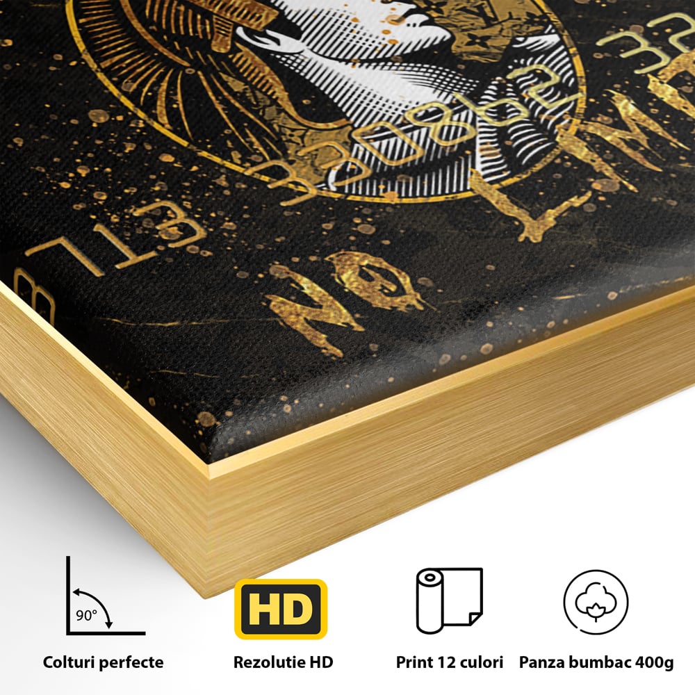 Detaliu al suprafetei: tablou canvas cu card bancar, in rama de aluminiu auriu