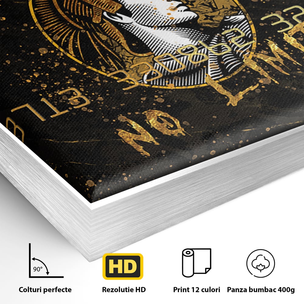 Detaliu al suprafetei: tablou canvas cu card bancar, in rama de aluminiu argintiu