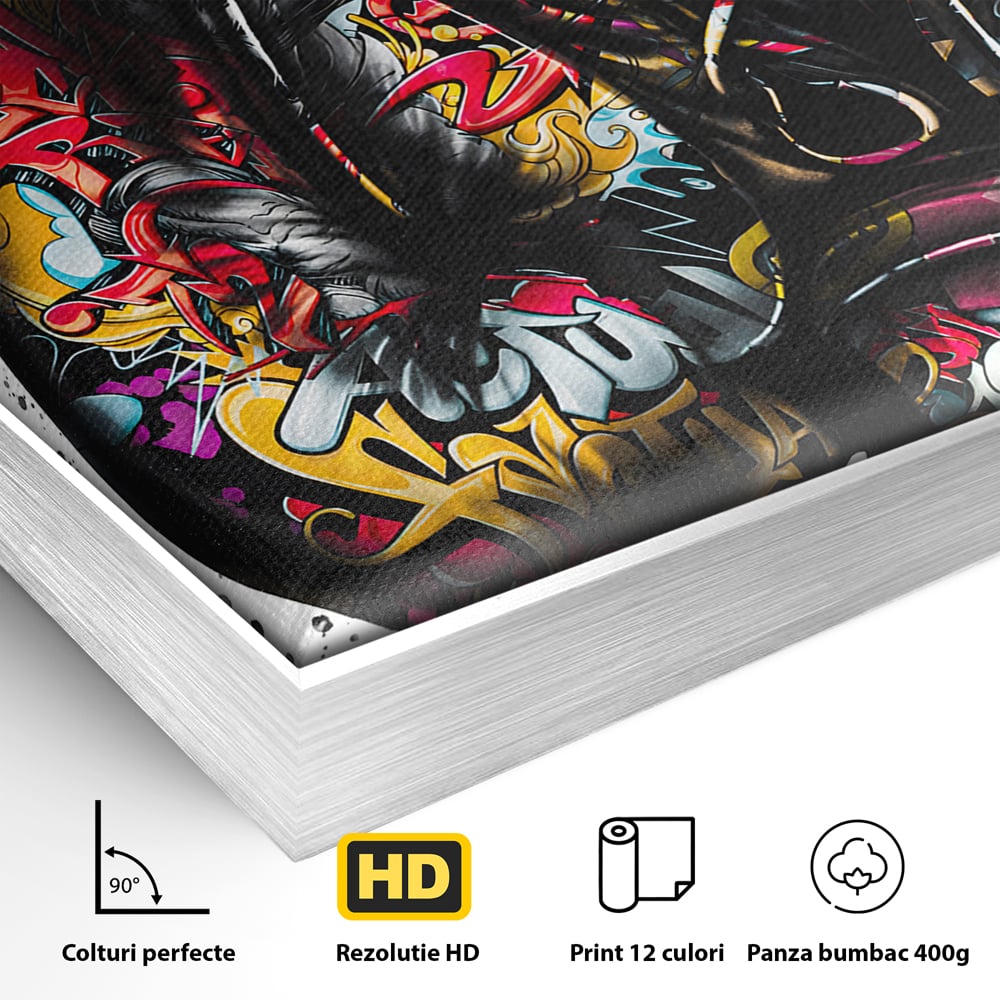Detaliu al suprafetei: tablou canvas cu manusi de box, in rama de aluminiu argintiu