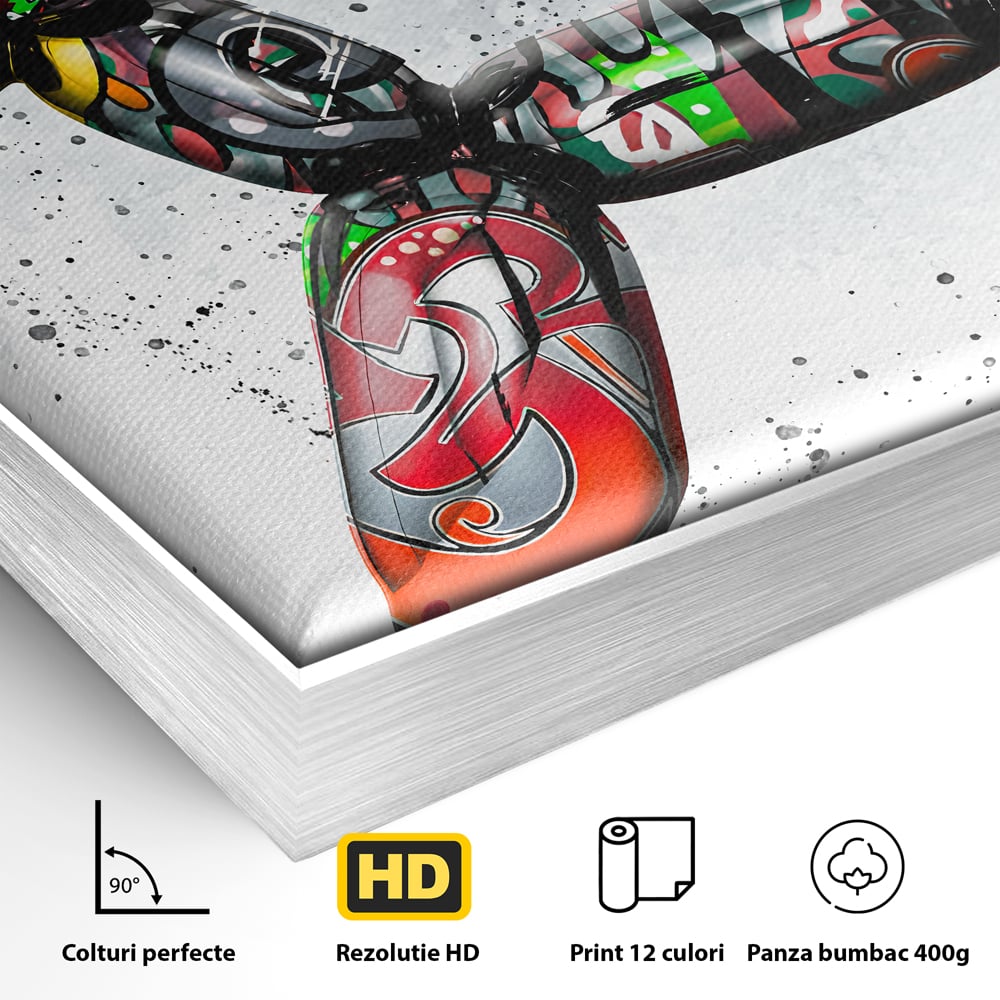Detaliu al suprafetei: tablou canvas caine din baloane stil grafitti, in rama de aluminiu argintiu