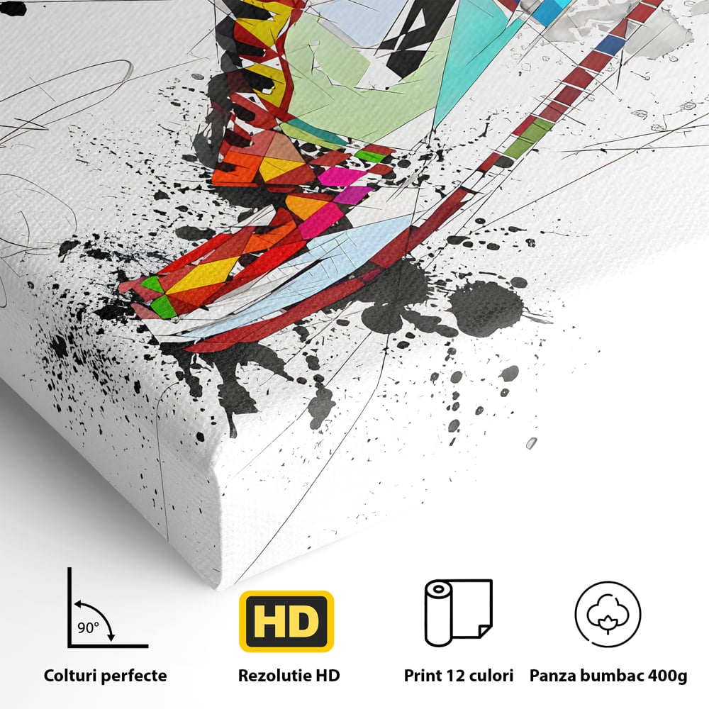 Detaliu al suprafetei: tablou canvas cu adidasa geometric colorat, fara rama, pe sasiu de lemn