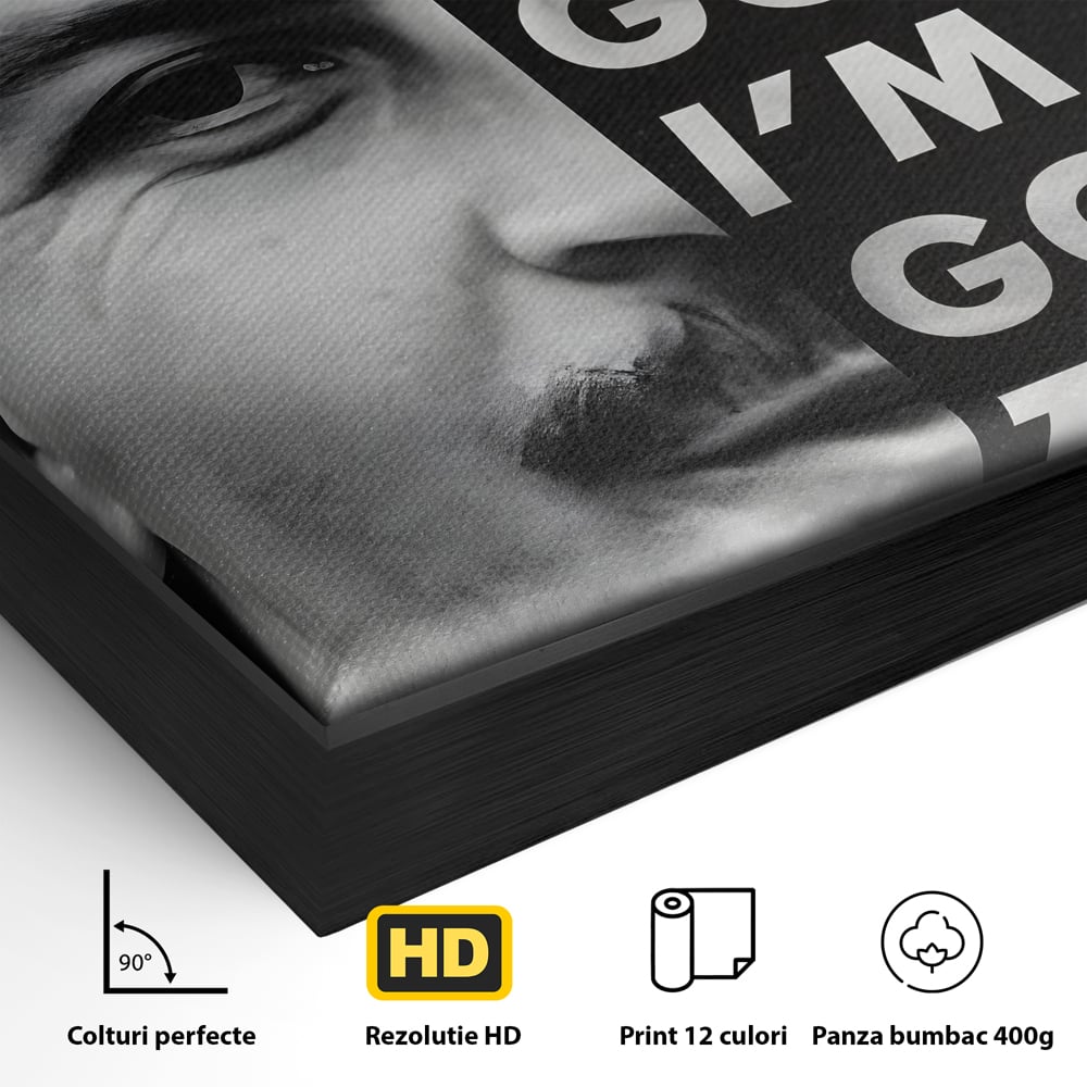 Detaliu al suprafetei: tablou canvas cu portretul lui pablo escobar, in rama de aluminiu negru