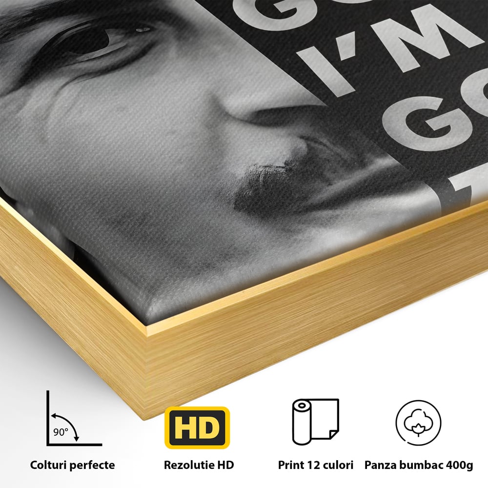 Detaliu al suprafetei: tablou canvas cu portretul lui pablo escobar, in rama de aluminiu auriu