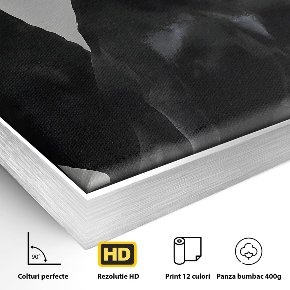 Detaliu al suprafetei: tablou canvas cu trei dobermani, in rama de aluminiu argintiu
