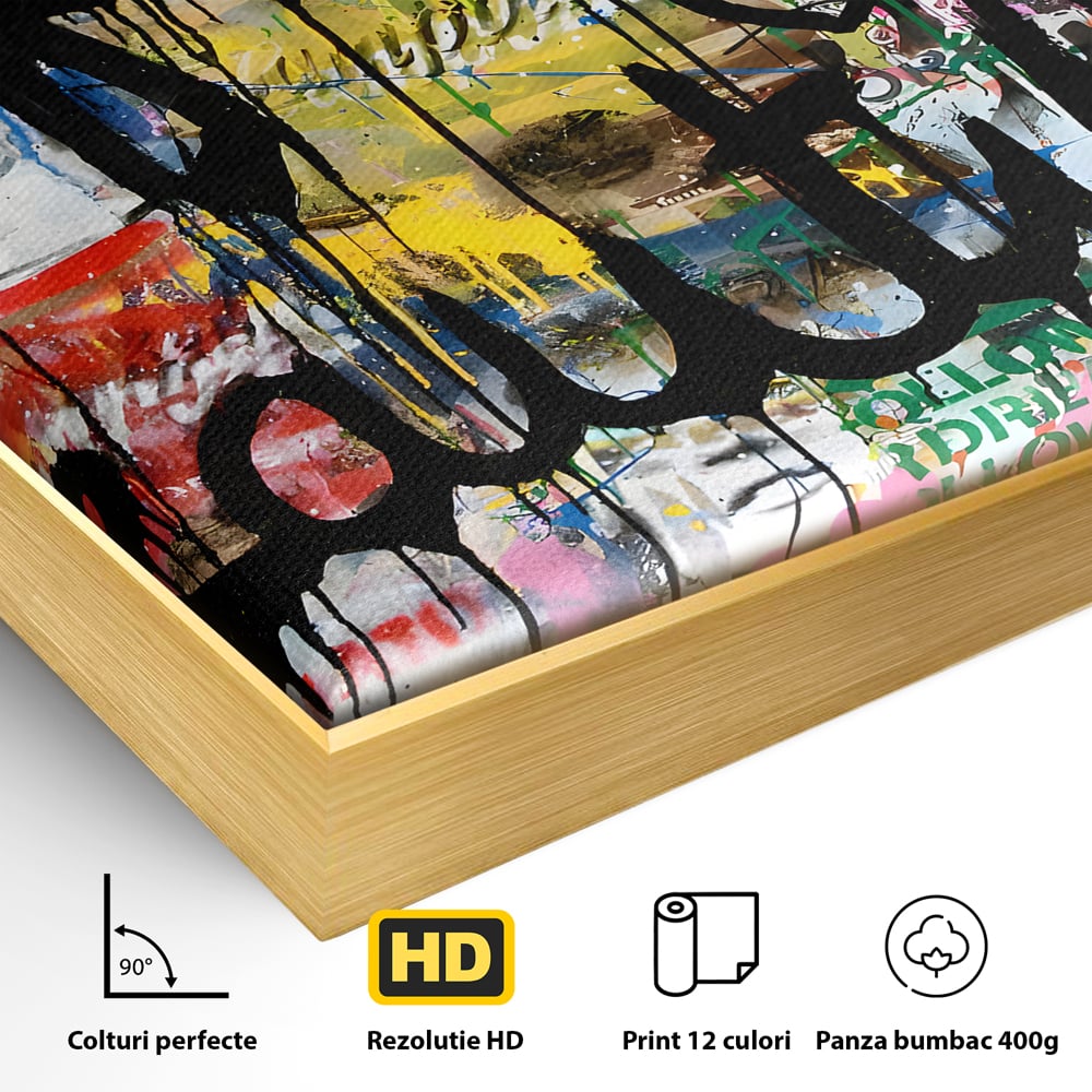 Detaliu al suprafetei: tablou canvas cu graffiti motivational, in rama de aluminiu auriu