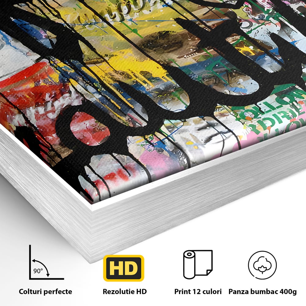 Detaliu al suprafetei: tablou canvas cu graffiti motivational, in rama de aluminiu argintiu