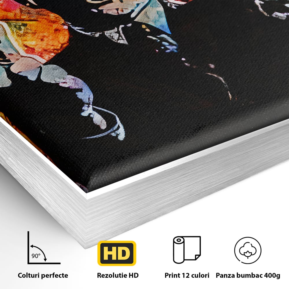 Detaliu al suprafetei: tablou canvas cu leonardo dicaprio pop art, in rama de aluminiu argintiu