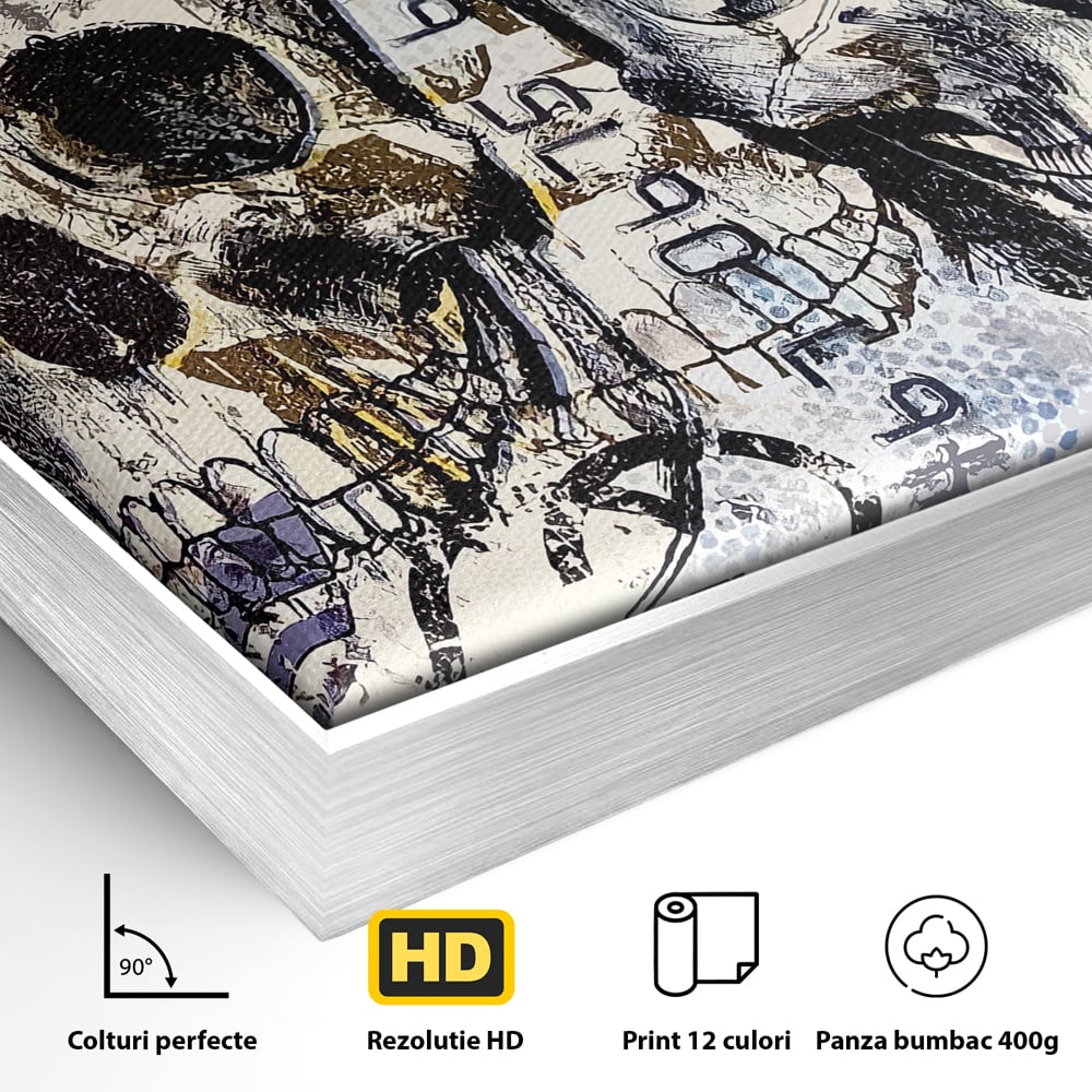 Detaliu al suprafetei: tablou canvas cu doua cranii, in rama de aluminiu argintiu