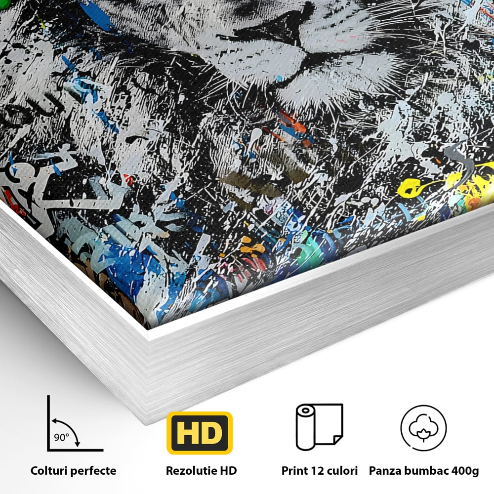 Detaliu al suprafetei: tablou canvas cu leu graffiti, in rama de aluminiu argintiu
