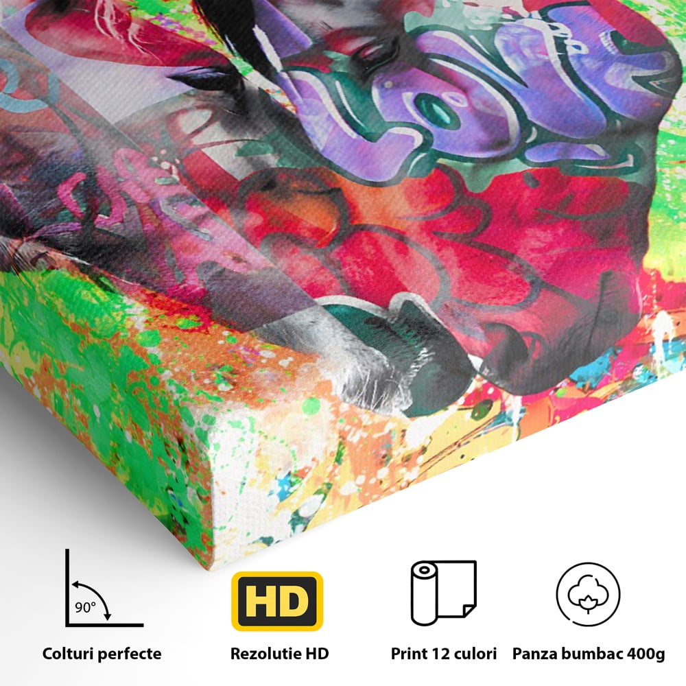 Detaliu al suprafetei: tablou canvas cu doi cai si graffiti colorat, fara rama, pe sasiu de lemn