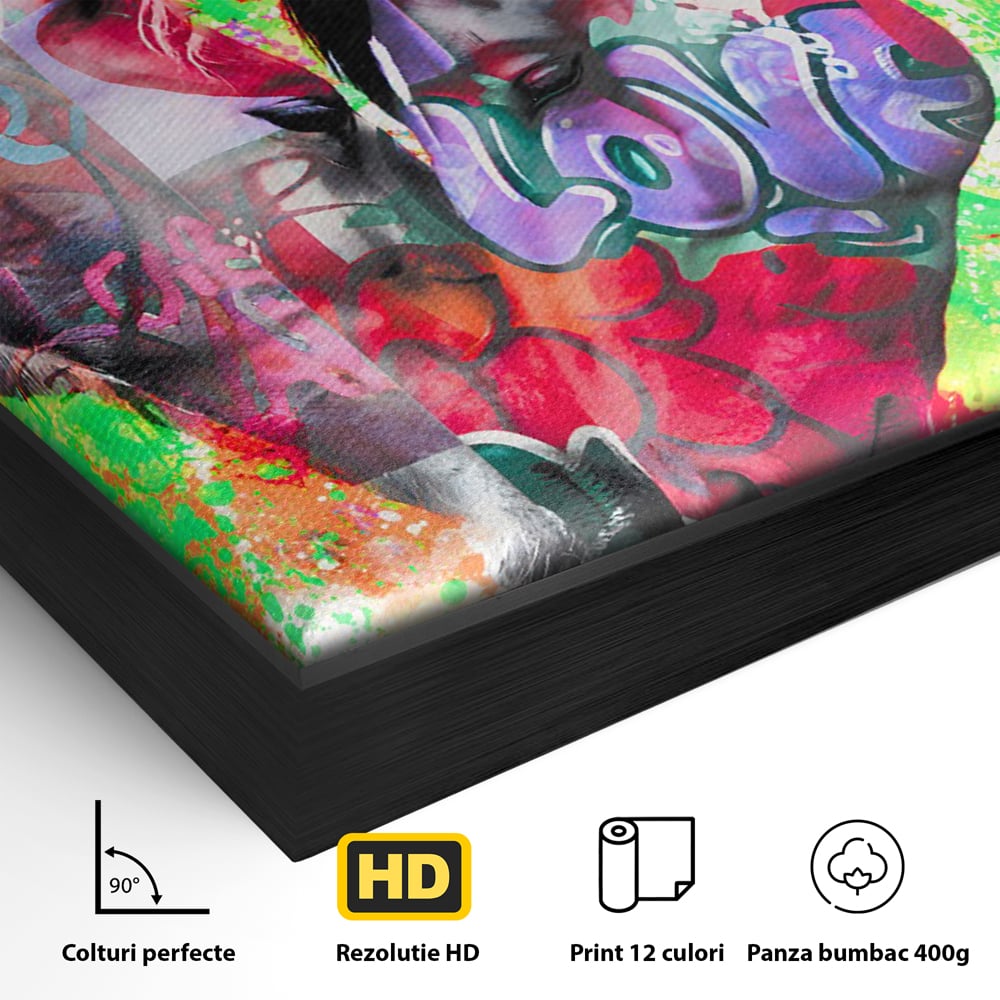 Detaliu al suprafetei: tablou canvas cu doi cai si graffiti colorat, in rama de aluminiu negru