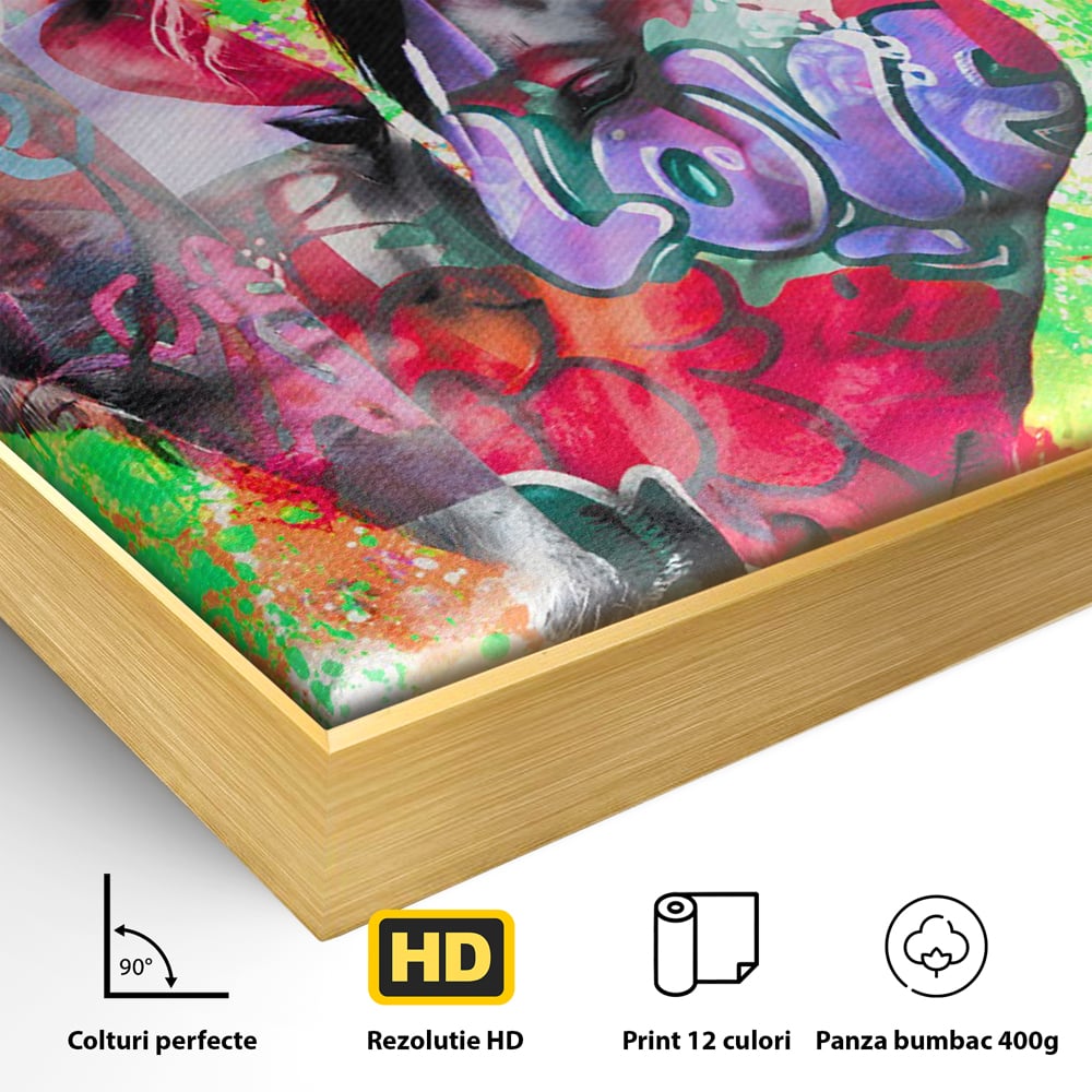 Detaliu al suprafetei: tablou canvas cu doi cai si graffiti colorat, in rama de aluminiu auriu