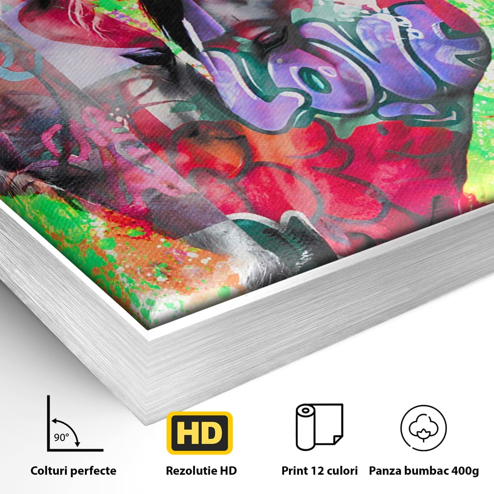 Detaliu al suprafetei: tablou canvas cu doi cai si graffiti colorat, in rama de aluminiu argintiu