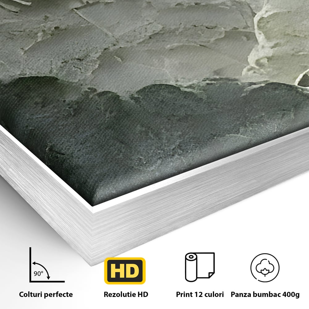 Detaliu al suprafetei: tablou canvas cu munti in relief, in rama de aluminiu argintiu
